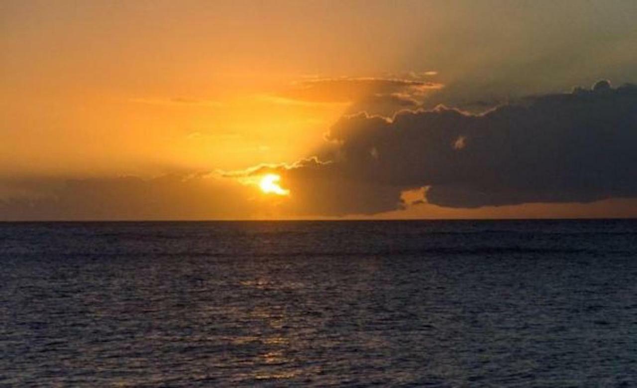 Logement Entier Au Soleil Couchant Deshaies Dış mekan fotoğraf